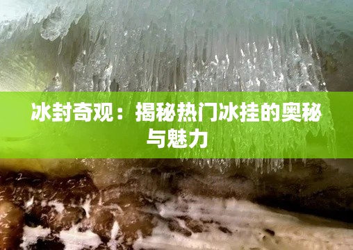 百鸟归巢 第4页