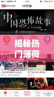 揭秘热门薄荷影院:观影新体验的引领者