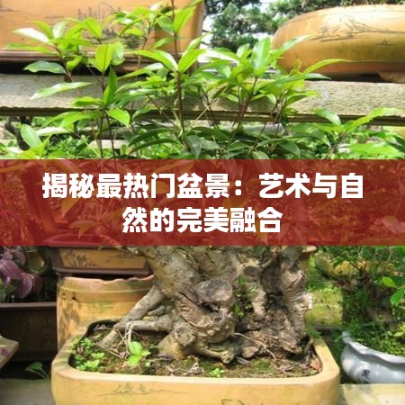 矫枉过正 第4页