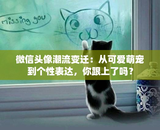 微信头像潮流变迁:从可爱萌宠到个性表达,你跟上了吗?