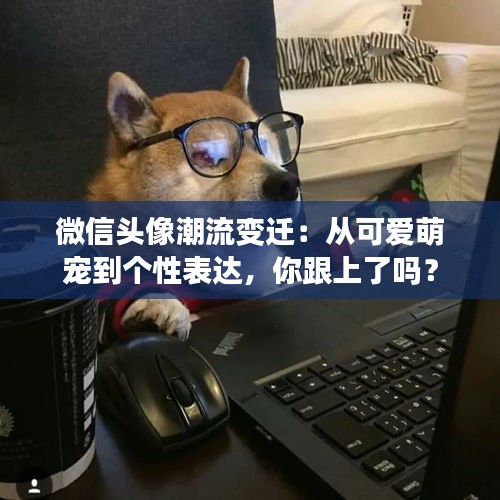 微信头像潮流变迁:从可爱萌宠到个性表达,你跟上了吗?