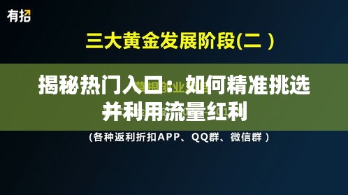 揭秘热门入口:如何精准挑选并利用流量红利