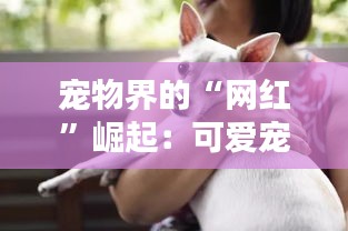 飞扬跋扈 第4页