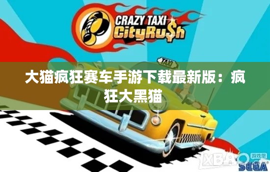 大猫疯狂赛车手游下载最新版:疯狂大黑猫