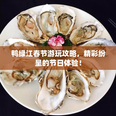 鸭绿江春节游玩攻略，精彩纷呈的节日体验！
