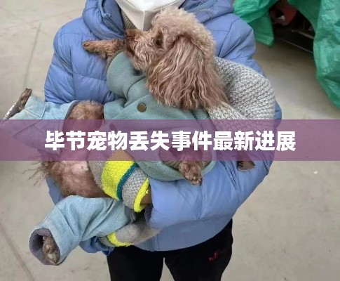 量入为出 第5页