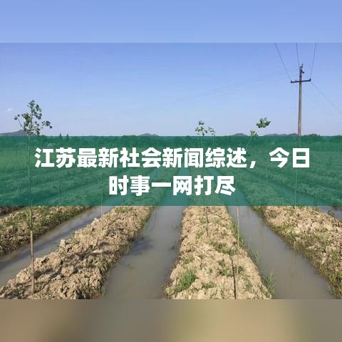 江苏最新社会新闻综述,今日时事一网打尽
