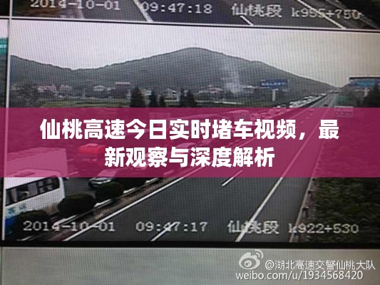 仙桃高速今日实时堵车视频,最新观察与深度解析