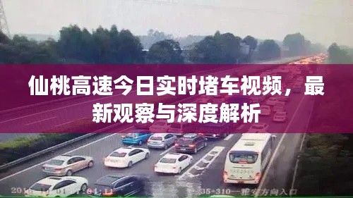 仙桃高速今日实时堵车视频,最新观察与深度解析