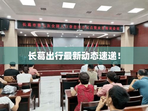 长葛出行最新动态速递!
