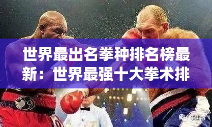 世界最出名拳种排名榜最新:世界最强十大拳术排名