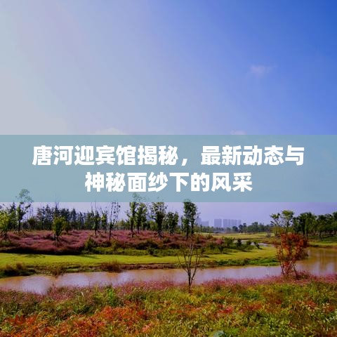唐河迎宾馆揭秘,最新动态与神秘面纱下的风采