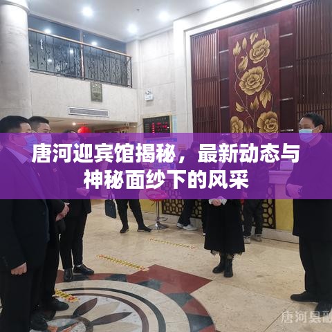 唐河迎宾馆揭秘,最新动态与神秘面纱下的风采