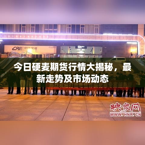今日硬麦期货行情大揭秘,最新走势及市场动态