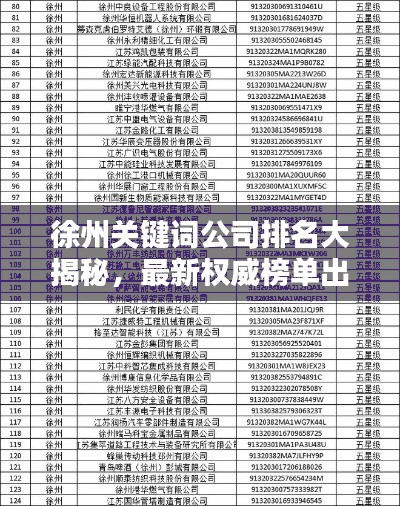 徐州关键词公司排名大揭秘,最新权威榜单出炉!
