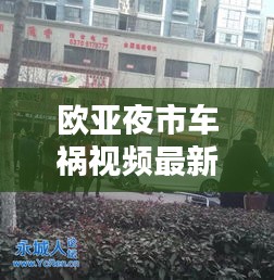 欧亚夜市车祸视频最新版:2021欧亚汇集夜市