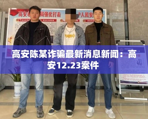 高安陈某诈骗最新消息新闻:高安12.23案件