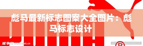 彪马最新标志图案大全图片:彪马标志设计