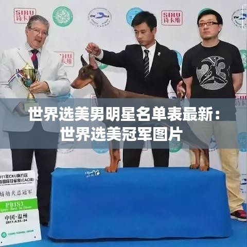 世界选美男明星名单表最新:世界选美冠军图片