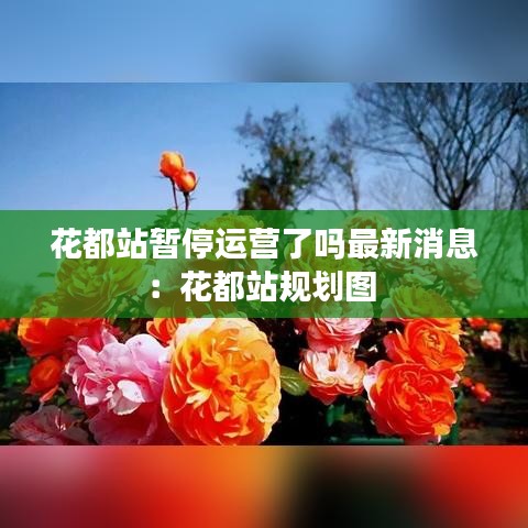 花都站暂停运营了吗最新消息:花都站规划图