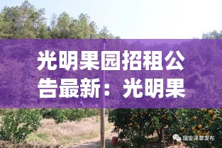 光明果园招租公告最新:光明果林村整村搬迁
