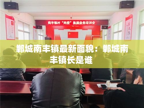 郸城南丰镇最新面貌:郸城南丰镇长是谁