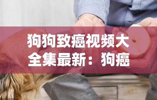 狗狗致癌视频大全集最新:狗癌症怎么治疗