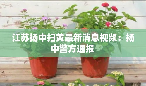 江苏扬中扫黄最新消息视频:扬中警方通报