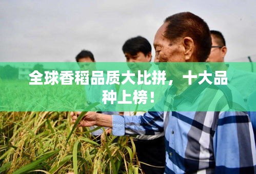全球香稻品质大比拼,十大品种上榜!