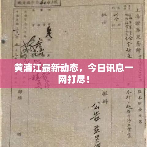 黄浦江最新动态,今日讯息一网打尽!