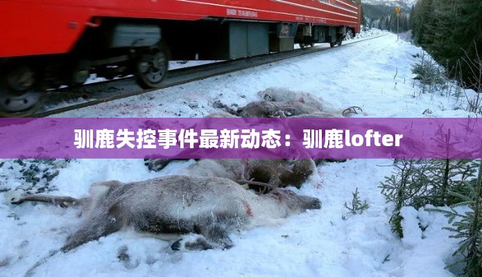 驯鹿失控事件最新动态:驯鹿lofter