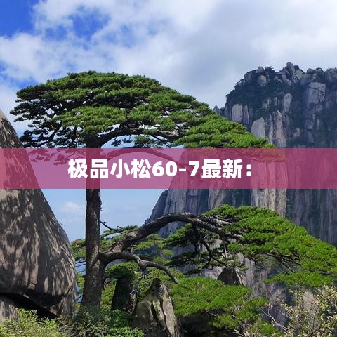 极品小松60-7最新: