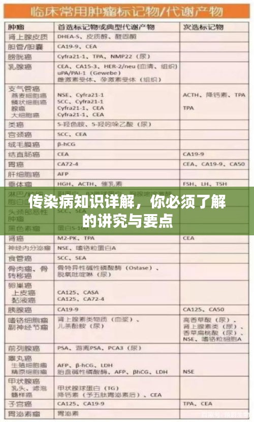 腾龙换鸟 第4页