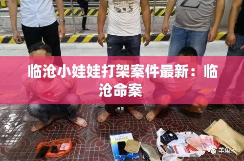 临沧小娃娃打架案件最新:临沧命案