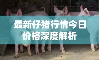 最新仔猪行情今日价格深度解析