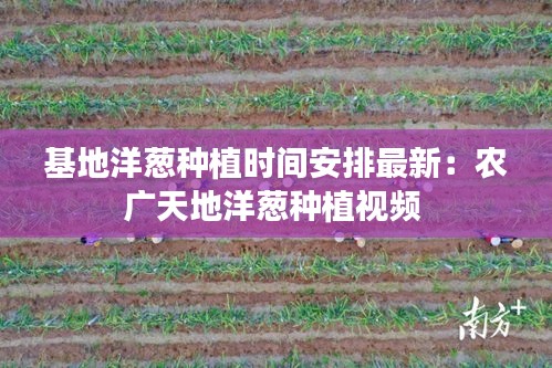基地洋葱种植时间安排最新:农广天地洋葱种植视频