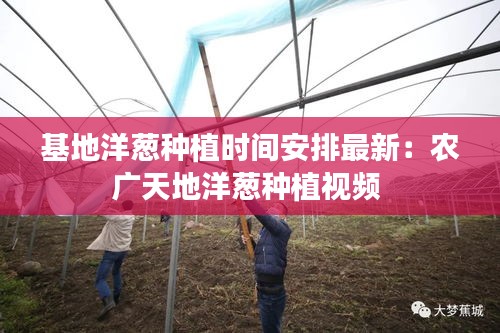 基地洋葱种植时间安排最新:农广天地洋葱种植视频