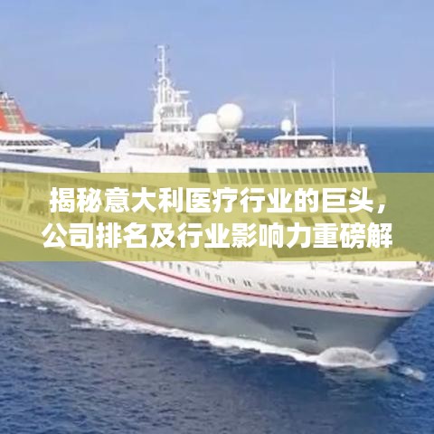 揭秘意大利医疗行业的巨头,公司排名及行业影响力重磅解析