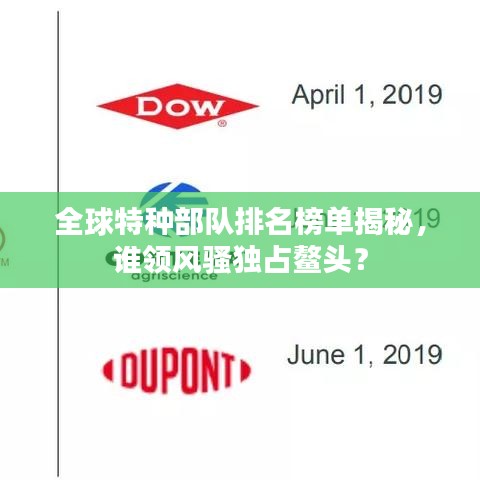 高人雅士 第4页