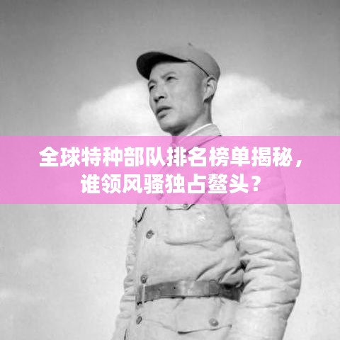 全球特种部队排名榜单揭秘,谁领风骚独占鳌头?