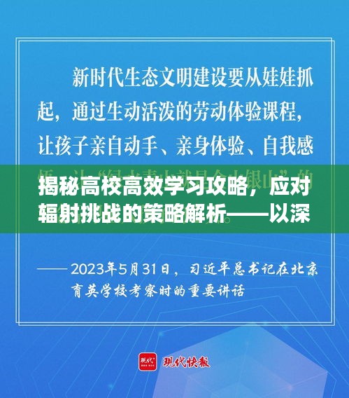 揭秘高校高效学习攻略,应对辐射挑战的策略解析——以深层辐射为例