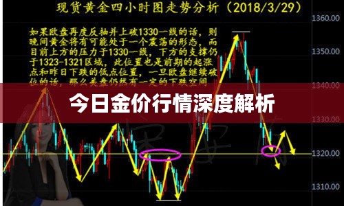今日金价行情深度解析