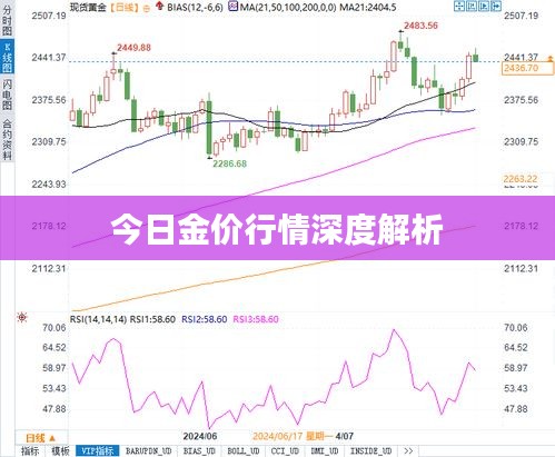 今日金价行情深度解析