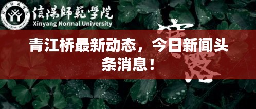 青江桥最新动态,今日新闻头条消息!
