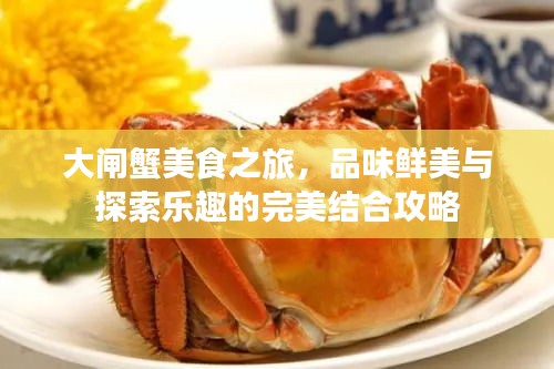 大闸蟹美食之旅，品味鲜美与探索乐趣的完美结合攻略