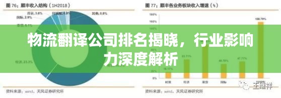 物流翻译公司排名揭晓,行业影响力深度解析
