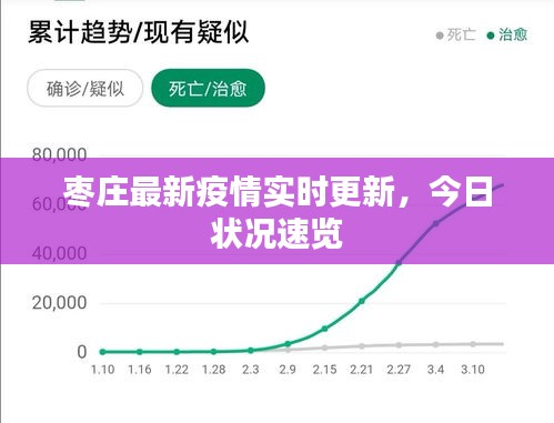 枣庄最新疫情实时更新,今日状况速览