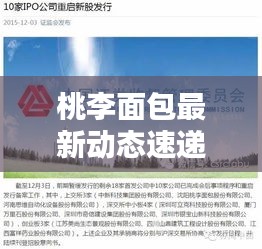 桃李面包最新动态速递,今日消息一网打尽!