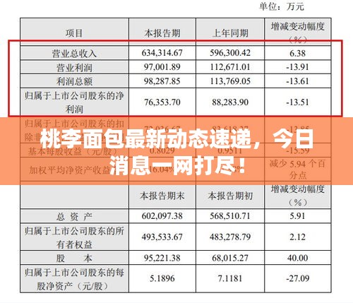 桃李面包最新动态速递,今日消息一网打尽!