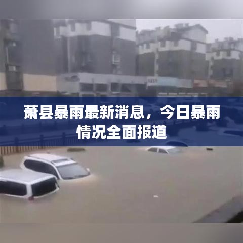 萧县暴雨最新消息,今日暴雨情况全面报道